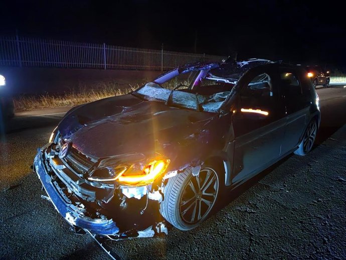 Estado del vehículo tras chocar con un caballo