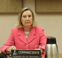 Defensa suplirá los misiles israelíes Spike con un nuevo sistema anticarro desarrollado en España o en Europa