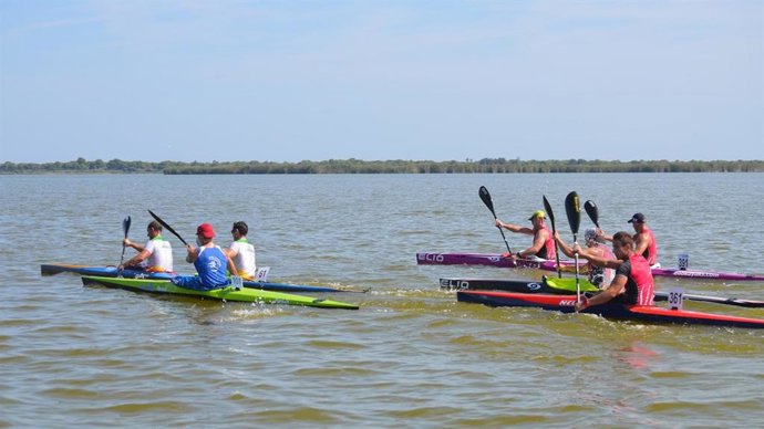 Autoritzat el Club de Piragüisme Silla la pràctica de piragüisme a l'Albufera