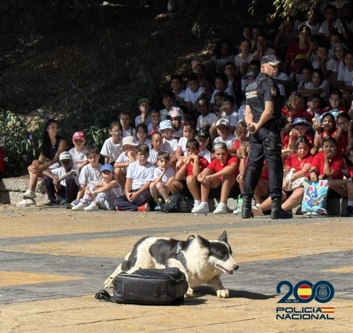 Un perro de la Policía Nacional en un ejercicio de demostración de la Unidad Canina en Las Palmas de Gran Canaria