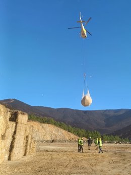Un helicóptero carga paja para depositarla en zonas quemadas por los incendios para evitar la erosión del suelo.