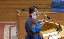 Imagen de una diputada del BNG durante el pleno de este martes.