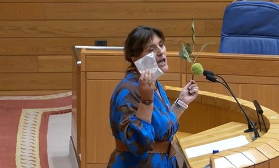 Imagen de una diputada del BNG durante el pleno de este martes.