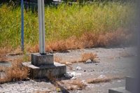 Finalizan las tareas de extinción en focos en el incendio de la Cartuja (Sevilla), uno cerca del Auditorio