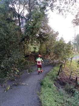 Bomberos retiran árboles que impedían el paso a un barrio de Voto