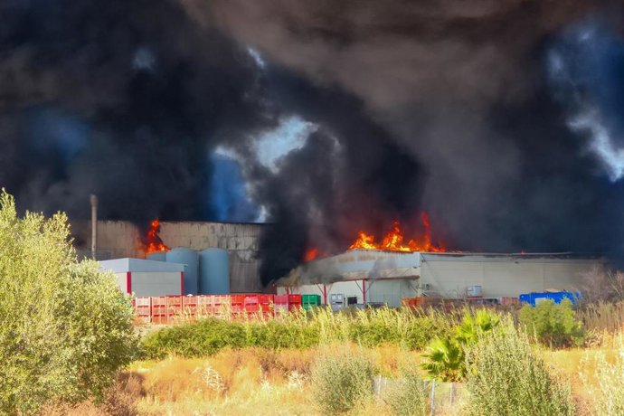 Imágenes del incendio en la fabrica Huerta Campo Rico en Burguillos, Sevilla.