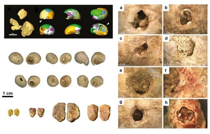 Fragmentos de abalorios identificados en la investigación