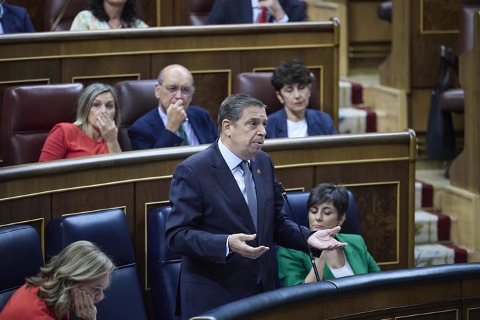 El ministro de Agricultura, Luis Planas, interviene durante una sesión de control en el Gobierno, en el Congreso de los Diputados 