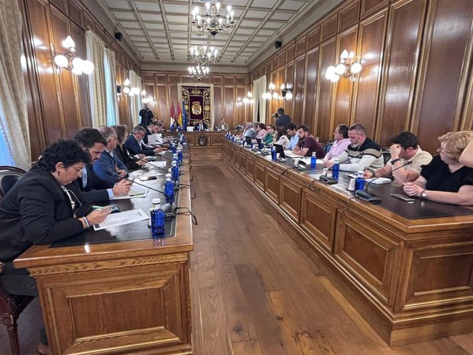 Declaración institucional de la Diputación en apoyo a los trabajadores afectados por el ERE de Mahle.