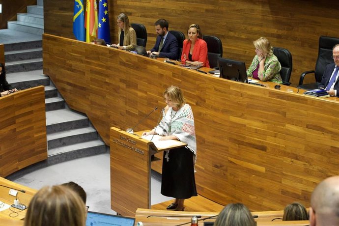 La diputada del Grupo Mixto, Covadonga Tomé, en el Debate de Orientación Política.