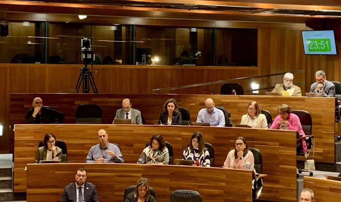 Grupo parlamentario del PSOE.