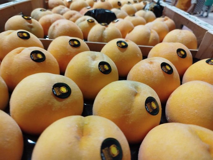 Melocotón de Calanda.