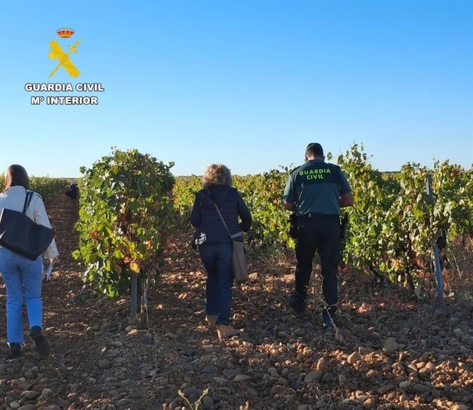 Imagen de la actuación conjunta de Guardia Civil e Inspección de Trabajo en la zona de Valdevimbre y Los Oteros (León) durante la campaña de la vendimia.