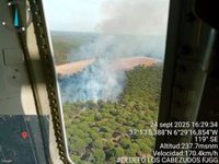 Estabilizado un incendio forestal en Almonte, el segundo en el Condado de Huelva este miércoles