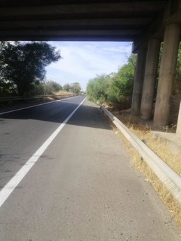 Estado que presenta la vegetación aledaña a la carretera entre Alcolea y Rabanales.