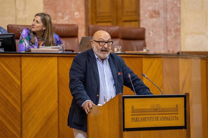 El portavoz por el Grupo parlamentario Vox, Alejandro Hernández, durante la sesión del Parlamento.