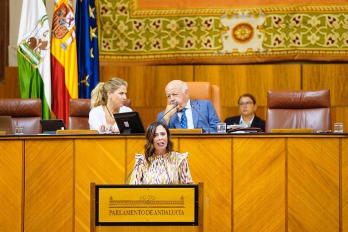 La consejera de Fomento, Rocío Díaz, este miércoles durante su comparecencia en el Pleno del Parlamento.