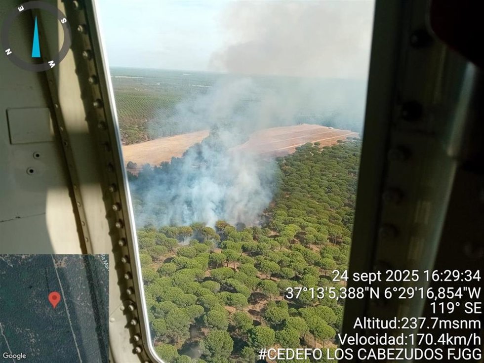 Imagen del incenio declarado este miércoles en Almonte.