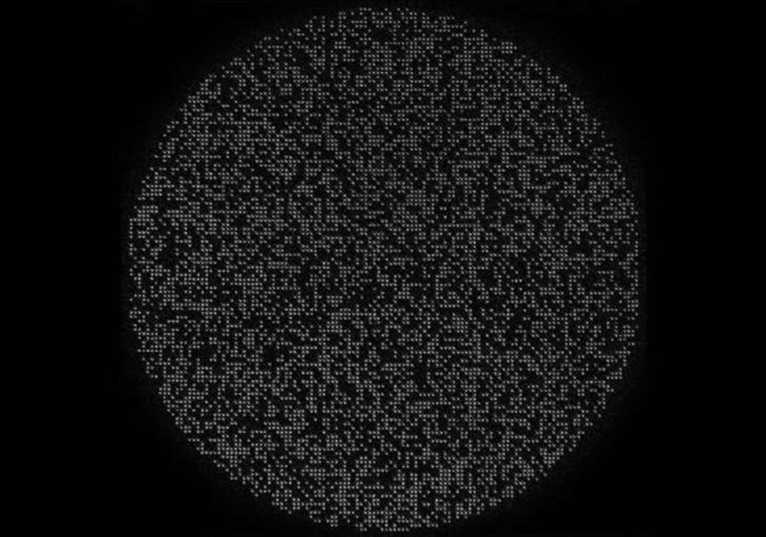 Esta imagem mostra 6100 átomos de césio presos por feixes de laser altamente focalizados, chamados de pinças ópticas. A largura do círculo é de aproximadamente um milímetro.