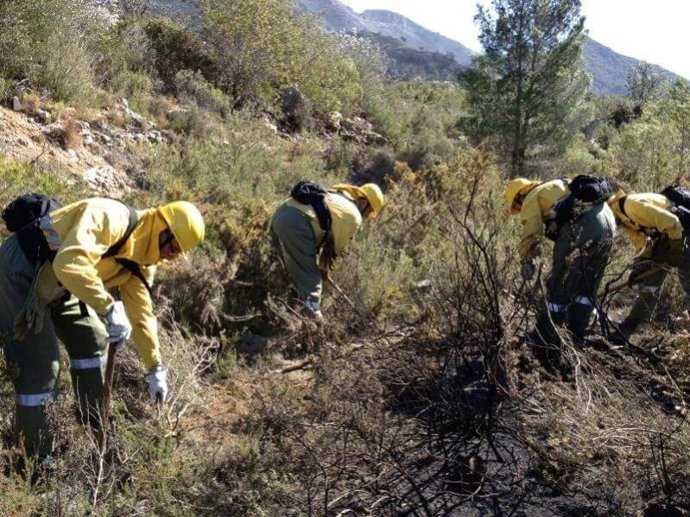 Archivo - Imagen de archivo de trabajadores medioambientales trabajan en el monte valenciano
