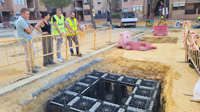 Instalación de celdas estructurales para favorecer el crecimiento del arbolado urbano.