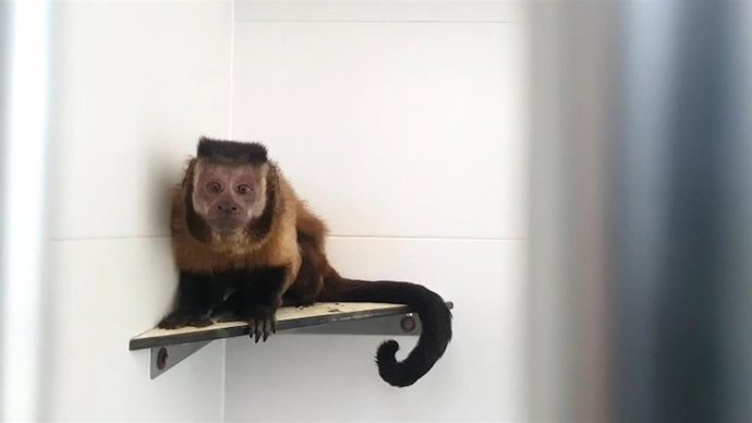 Vídeo de la noticia