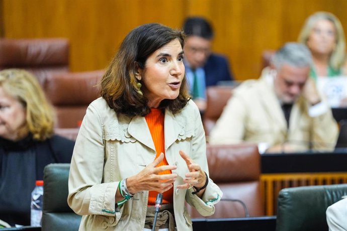 La consejera de Empleo, Empresa y Trabajo Autónomo, Rocío Blanco, en el Parlamento andaluz.