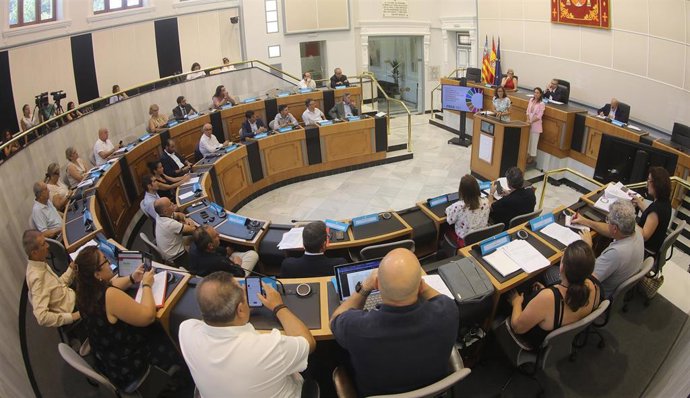 Consejo económico y social de la provincia de Alicante