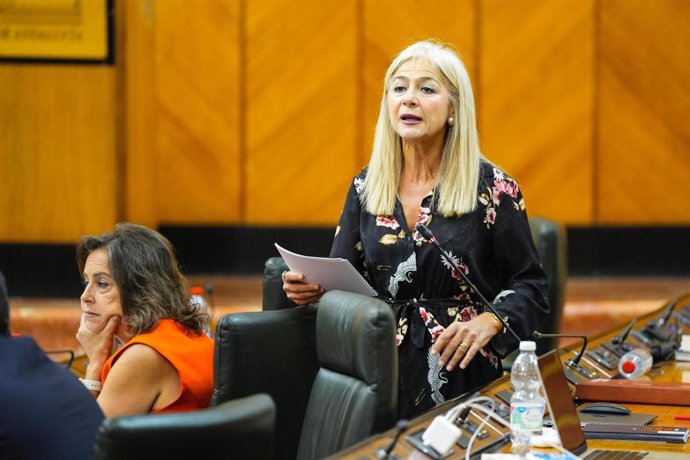 La consejera de Cultura, en la sesión de control al Gobierno andaluz, en el Parlamento.