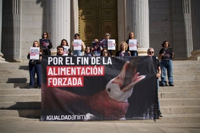 Activistas se congregan frente al Congreso para prohibir la alimentación forzada a patos para la producción de foi gras