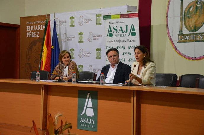 Jornada de Aceituna de Mesa de Asaja-Sevilla.