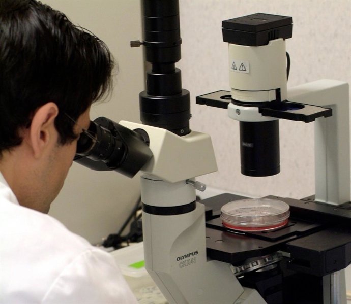 Investigación científica en la Comunitat Valenciana