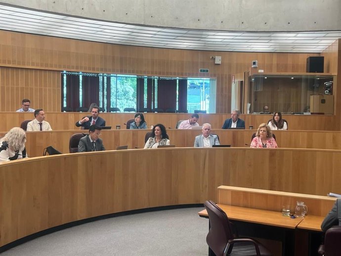 El grupo socialista en la Diputación de Granada durante el pleno.