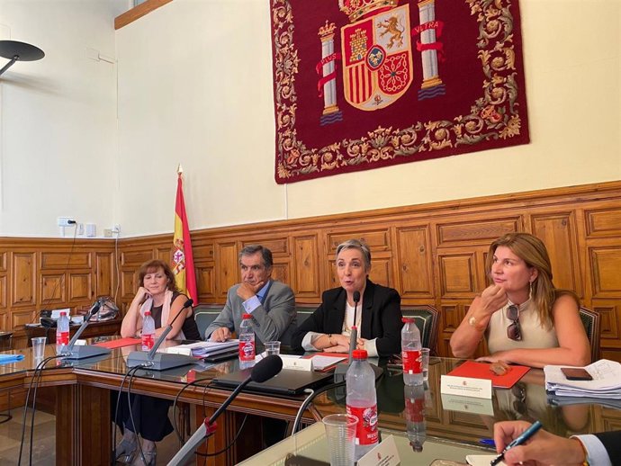 El presidente del TSJA, Lorenzo del Río y, a su izquierda, la viceconsejera de Justicia, Ana Corredera, han participado en las jornadas sobre la reforma de la justicia