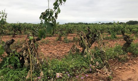 La Rioja