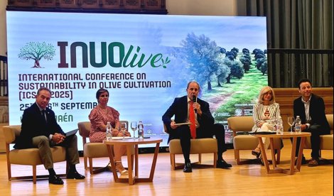 Es Andalucía - Jaén