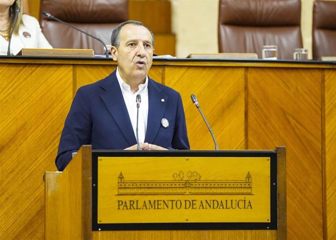 El diputado del PSOE-A José Luis Ruiz Espejo interviene en el Pleno del Parlamento andaluz.