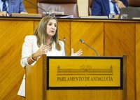 Parlamento insta a la Junta a firmar el convenio de nuevo hospital de Cádiz en la Zona Franca con abstención de PP-A