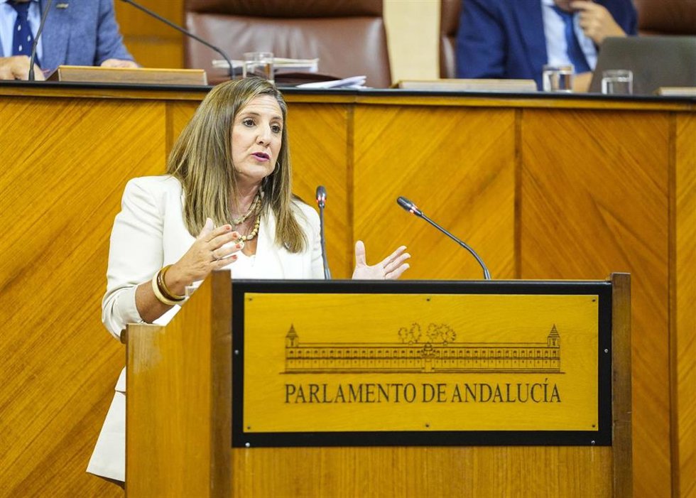 La diputada del Grupo Socialista y vicepresidenta segunda del Parlamento, Irene García, este jueves en la defensa de la PNL en el Pleno.