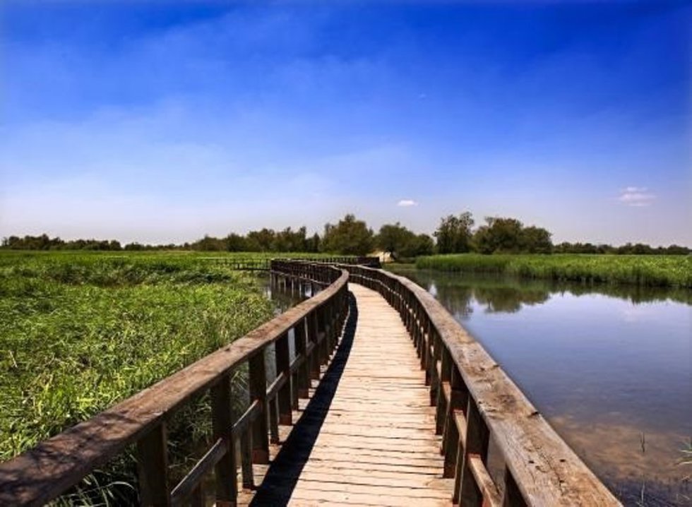 Tablas de Daimiel (Ciudad Real).
