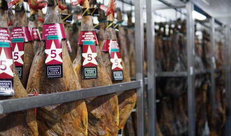 Comunicados Sociedad