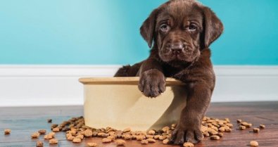 Comunicados Empresas