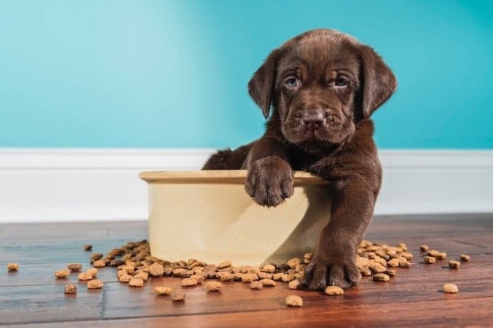 Sustainable Pet Food Foundation