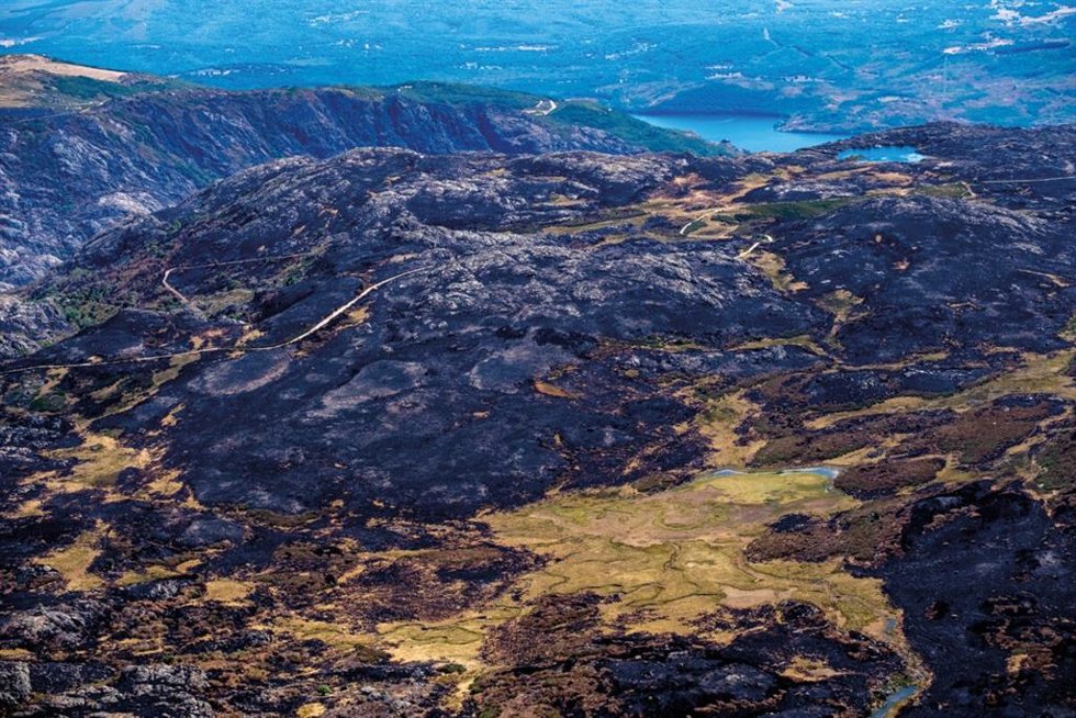 Imagen de una zona afectada por los incendios de este verano