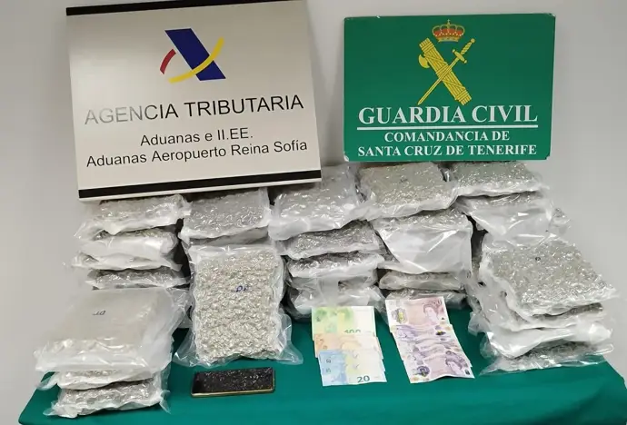 Cogollos de marihuana intervenidos en el Aeropuerto Tenerife Sur