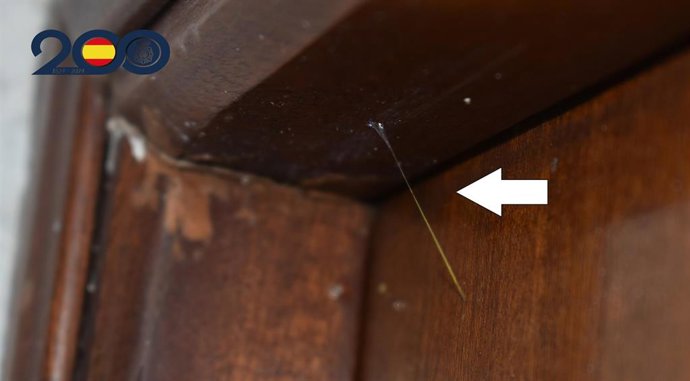 Vídeo de la noticia