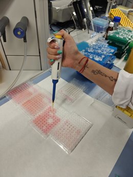 Procedimientos en una investigación.