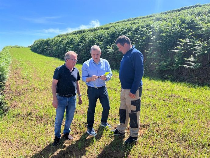 El consejero de Sector Primario del Cabildo de Tenerife, Valentín González (c), en una visita a una finca de cereales