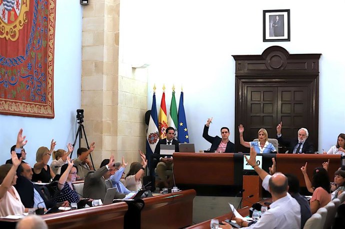 María José García-Pelayo preside el Pleno del Ayuntamiento de Jerez.