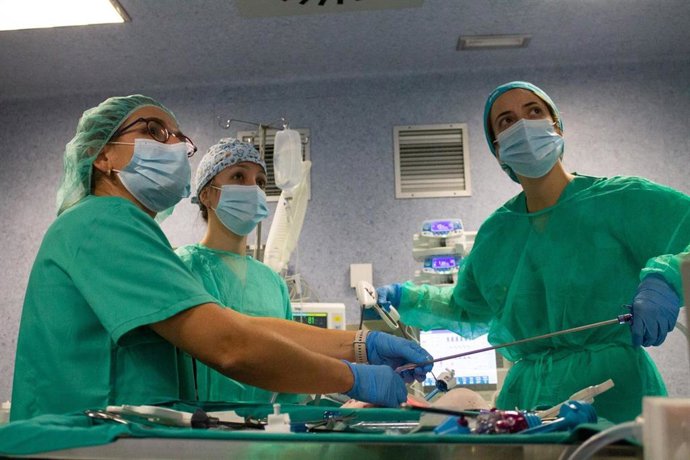 Residentes y médicos especialistas de Urología se forman en cirugía laparoscópica